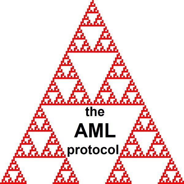 theAMLprotocol